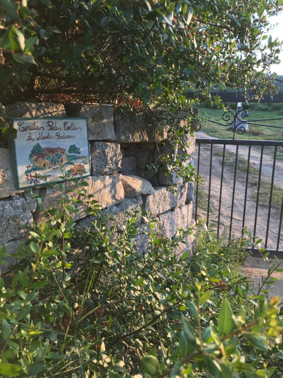 Villa Peditoltu Olbia Exteriör bild